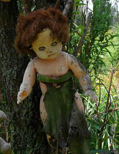 河里忽然冒出无数布娃娃诡异小岛真的被诅咒了