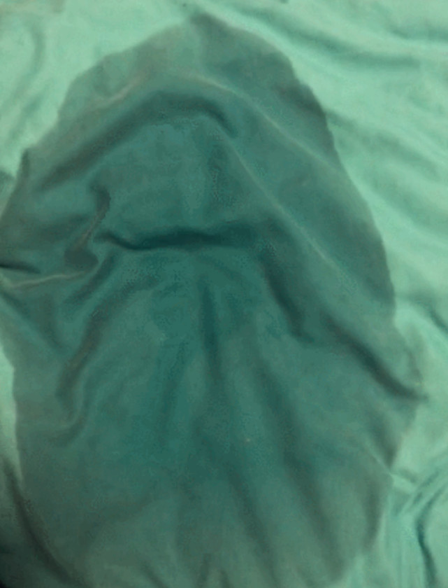 蓝猫尿床被抓个正着,躺在床上一脸委屈:我是想帮你洗床单的|尿床|蓝猫