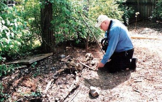 世界上最恐怖的地方,娃娃岛无比阴森诡异/被称人类禁地