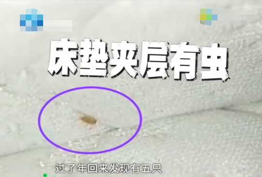 鸡皮疙瘩掉一床(鸡皮疙瘩掉一床了怎么回答)