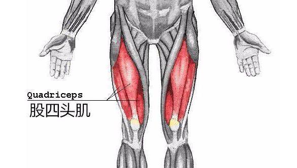 这几招,让你轻松拥有健壮大腿!