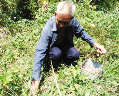 乡下老农上山采药时,发现一把扇子,几个富商抢着上门收购