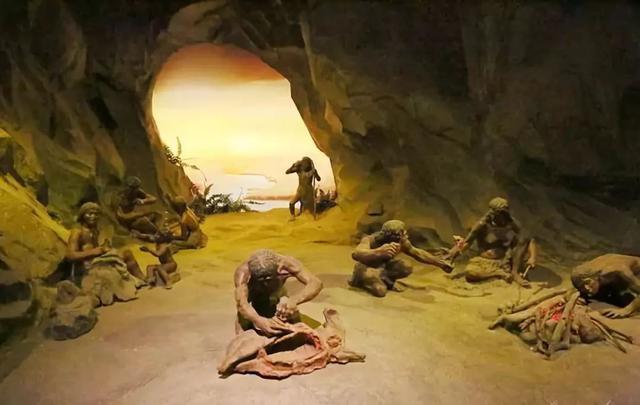 尼安德特人比智人智商更高,为何最后尼安德特人灭亡,智人活下来