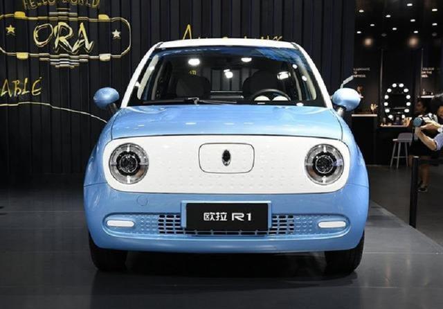 不足8万选“绿牌”，好看好开还要大牌？看看奔奔E-Star与欧拉R1