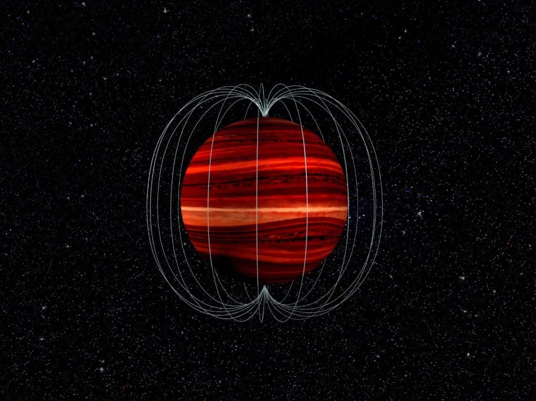 褐矮星|棕矮星|木星_新浪新闻