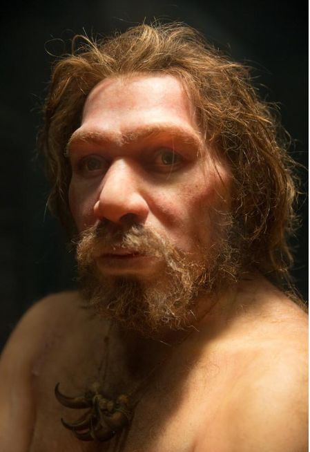 尼安德特人灭绝的原因并非被智人击败而是自身原因