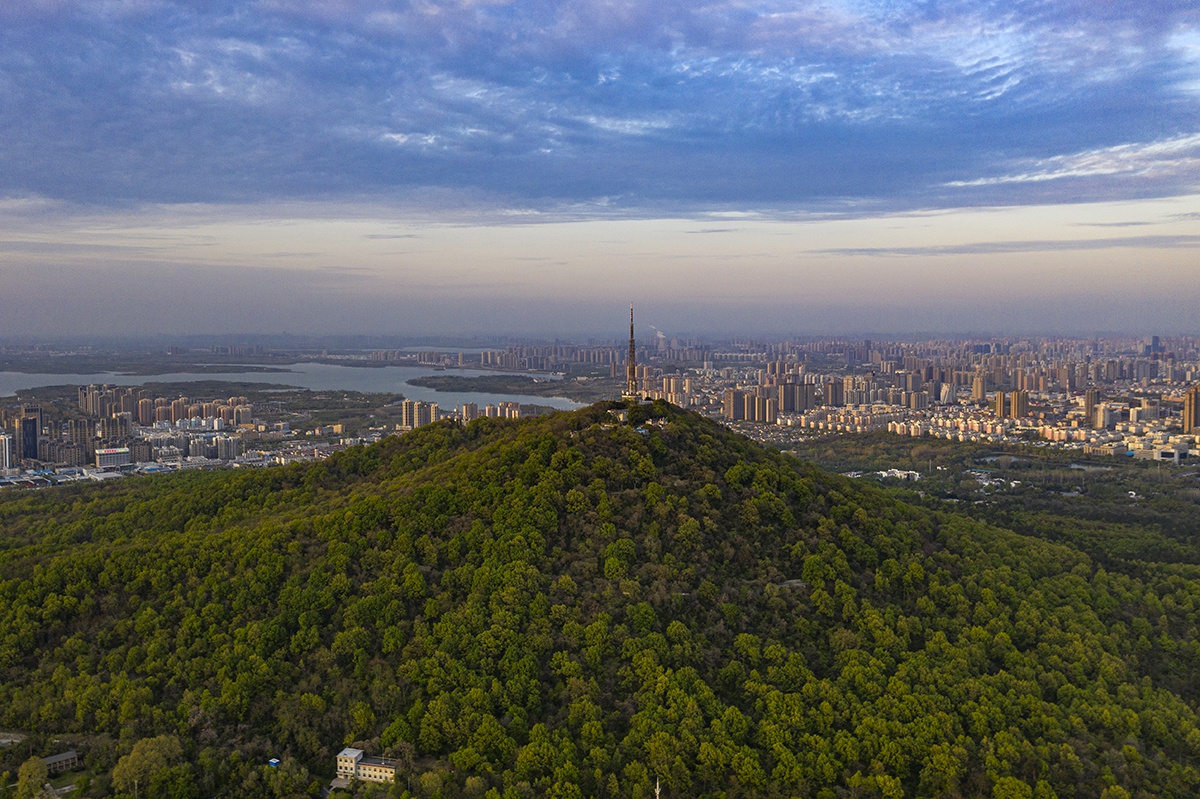 小小大蜀山,被合肥人玩出黄山的感觉,满山果实无人摘