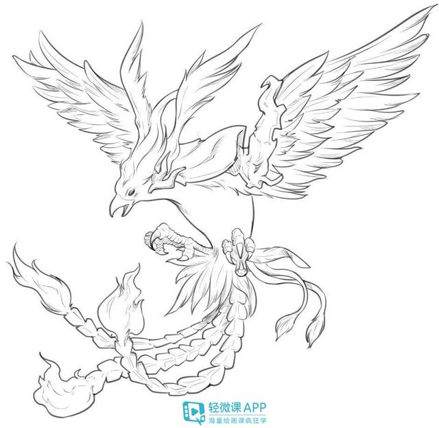 临摹线稿教程新手临摹好素材