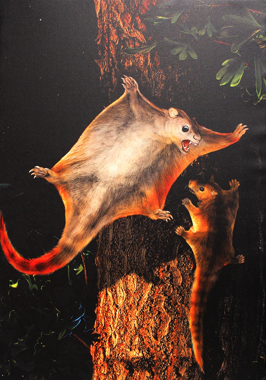 它可能是蝙蝠先祖