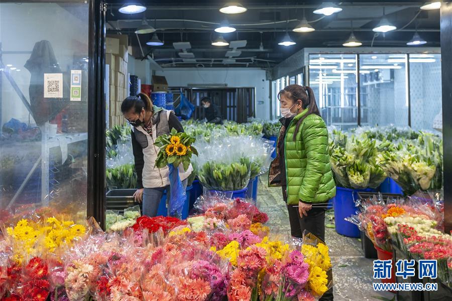 上海:花卉市场开市忙