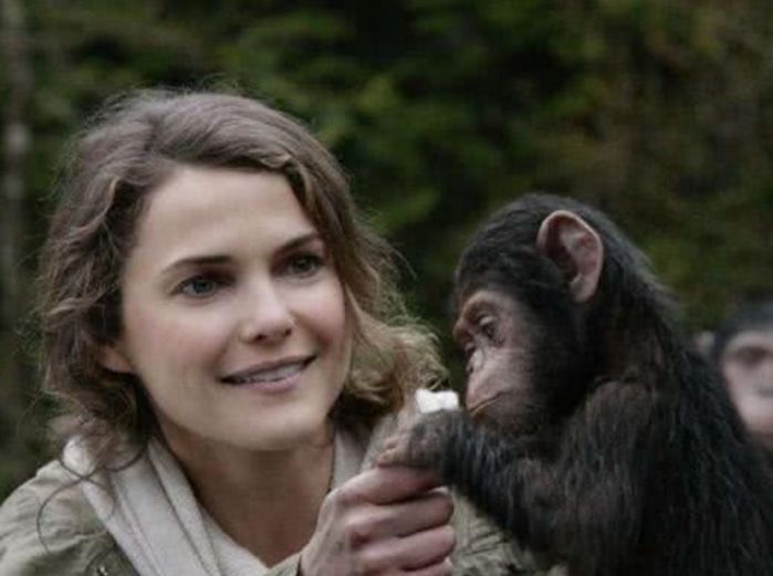 那个与人类婴儿一起长大的黑猩猩,把自己当成人类,如今怎样