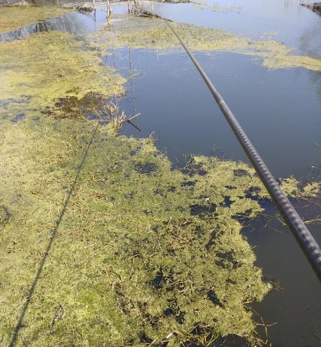 野钓时,寻找天然鱼窝的几个技巧,别说你不知道