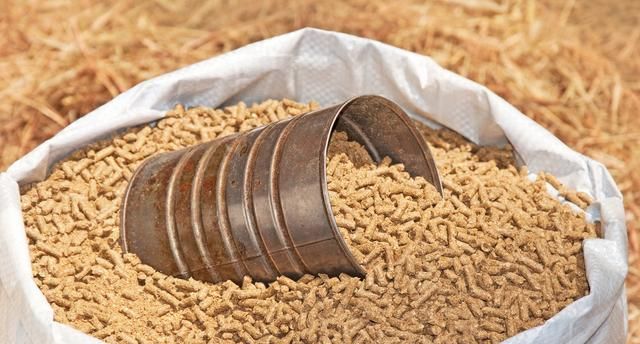 饲料品牌哪家强 湖南百宜饲料怎么样