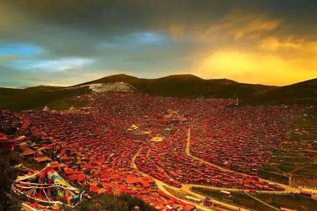 高原|新疆|樱花谷_新浪新闻