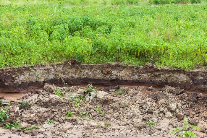 土壤污染流失,农业生产能力低下等问题,不仅造成全球生态环境的破坏