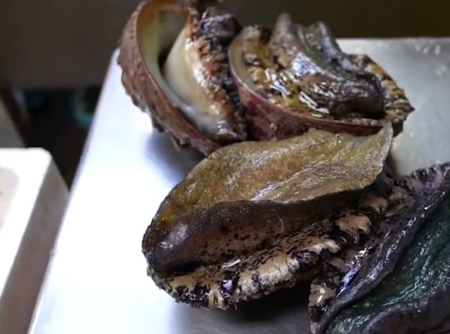 看看日本的巨型鲍鱼大厨现场处理蘸上酱料吃起来很满足