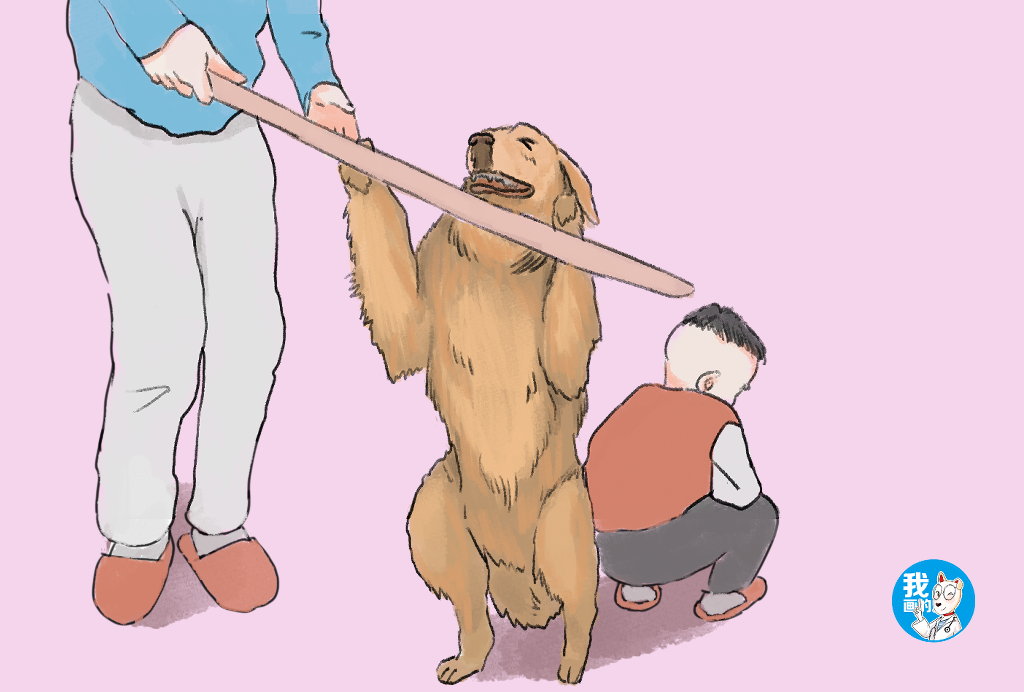 爸爸拿着棍子要揍孩子,金毛的举动戳到了泪点:这狗真没白养