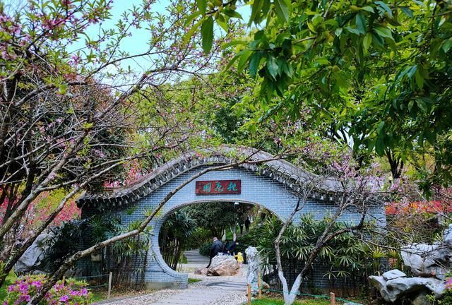 春光中的温州景山公园