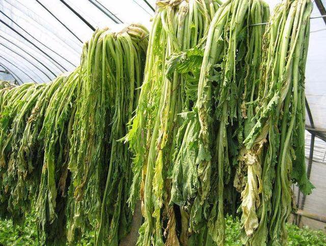 梅干菜到底是用啥菜做的看完北方网友说难怪梅菜扣肉这么好吃