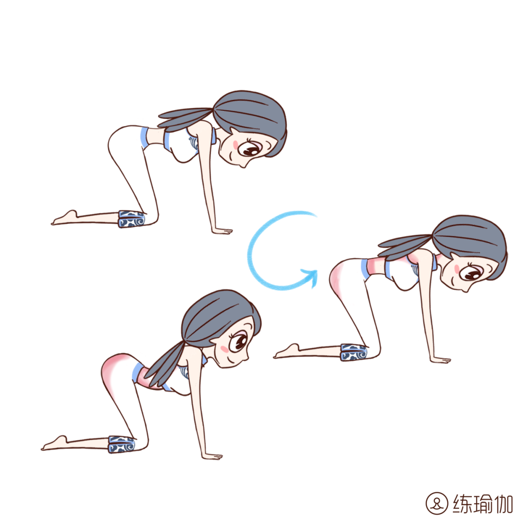 双手撑地分别在肩膀的正下方,吸气,抬头扬下巴,尾骨上翘,呼气,拱腰拱