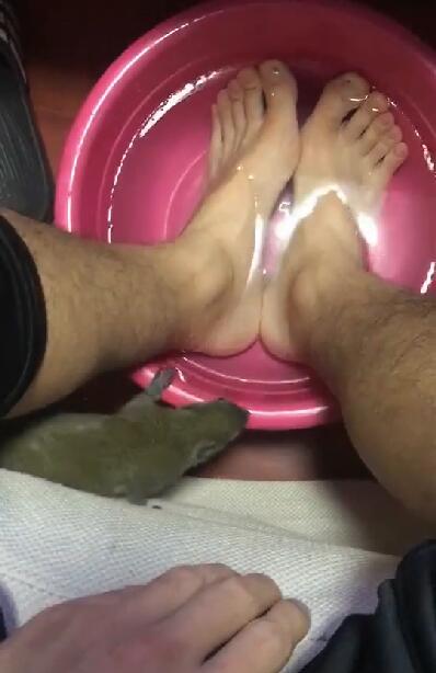 男子打工一年,回到家晚上"泡脚",感觉脚痒,低头看,不淡定了