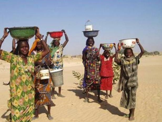 撒哈拉的图布人他们善于在沙漠生存生命力坚韧