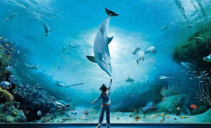 海洋探索有新发现,科学家担心不已,发现深海一万米下的秘密|海洋|深海