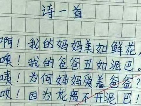 小学生“打油诗”走红，幽默搞笑却有天赋，老师：可塑性很强|学习成绩_新浪新闻