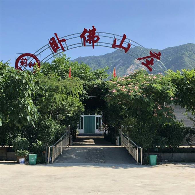 我们在蓟州梨木台卧佛山庄做素拓,垂钓时收获了满满一筐鱼!