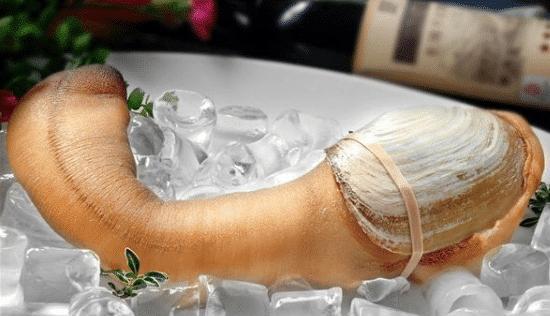 第4种加拿大象拔蚌,在我们中国象拔蚌是常见到的一种海鲜,它的价格