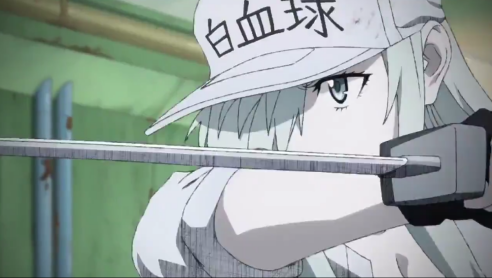 看到这白血球大姐姐谁还忍得住?《工作细胞black》动画化