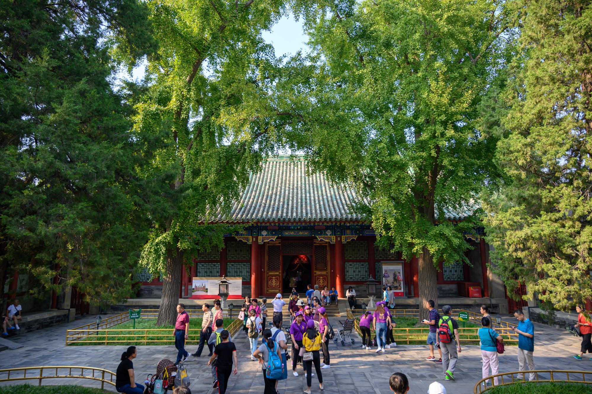 国内唯一对外开放的清代王府，建筑规格堪比皇宫|奕訢|恭王府|园林_新浪新闻