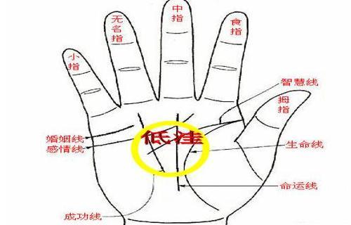 有这三种手纹的女人，必定是命中有福气，一生富贵吉祥婚姻最美满