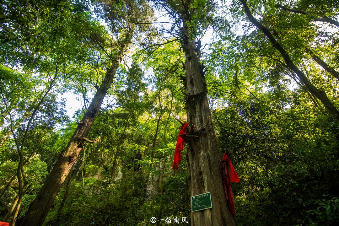 湖南有个最容易迷路的景区,很像九宫八卦阵,犹如漫游仙境
