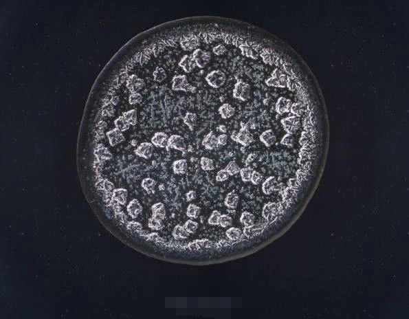 科学家将它放大3000倍, 再也不敢流泪了