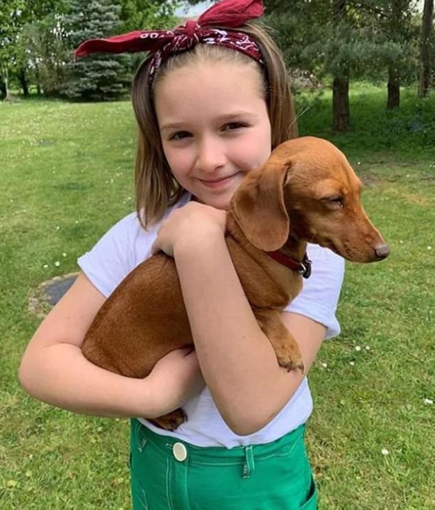 贝克汉姆女儿近照曝光,五官长开美得没边,网友:爸爸成小跟班