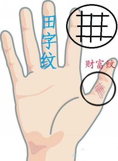手掌上只要有这种纹,不仅财粗还能权大,还会一生财运滚滚来