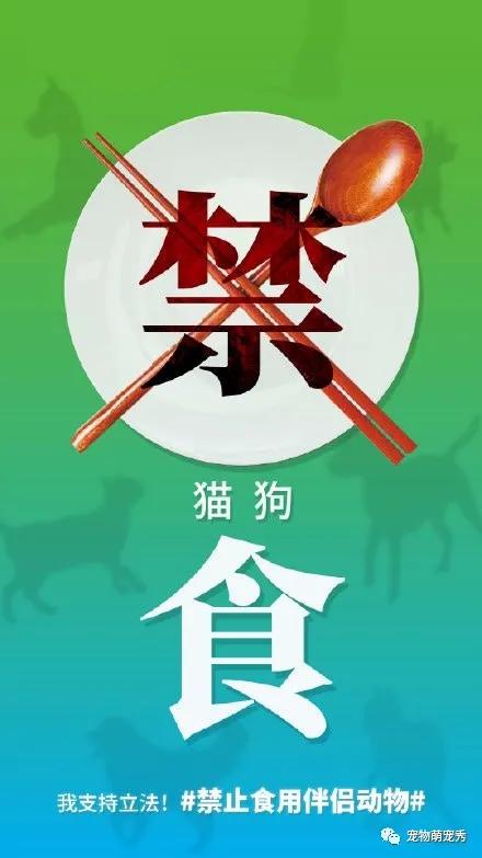 珠海5月1日禁食狗猫,成内地第2文明城市,全国禁食狗肉不远矣?