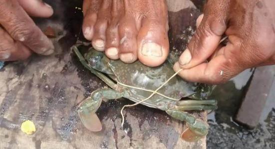 看后,保准你再也不敢在印度吃螃蟹!