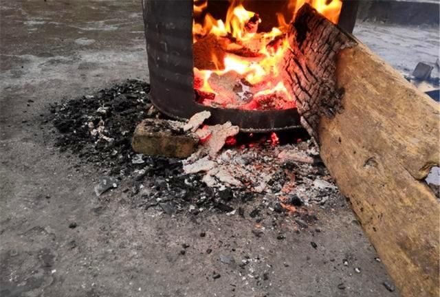 楼下花匠为养"下山兰",烧堆"黑炭"埋土里|兰花|下山兰|木炭_新浪新闻