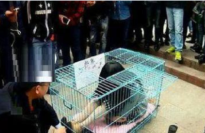 女子被关进狗笼里面当宠物众人围观却没人出手网友都傻眼了