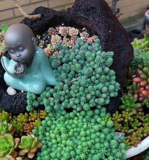 养多肉搭配什么样的花盆好?利用"碎花盆"造景,个个与众不同