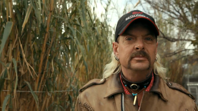 美国狗血土味番,好看到让今年美剧下架|卡罗|杰夫|安特尔_新浪新闻