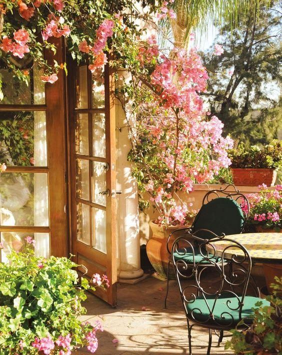 这个花园小院里,有春天最美的样子