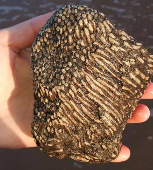 网络有多恐怖?你问什么,我都能回答上!