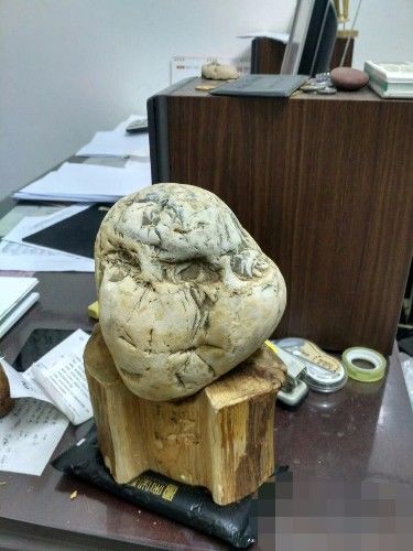 老乡河滩种地,挖出来"猴头石",近万元售出