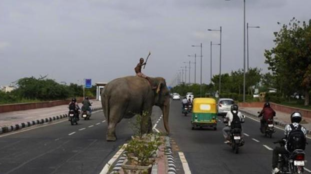 印度公路天下第一？印度在公路建设上居然有如此“高”的成就