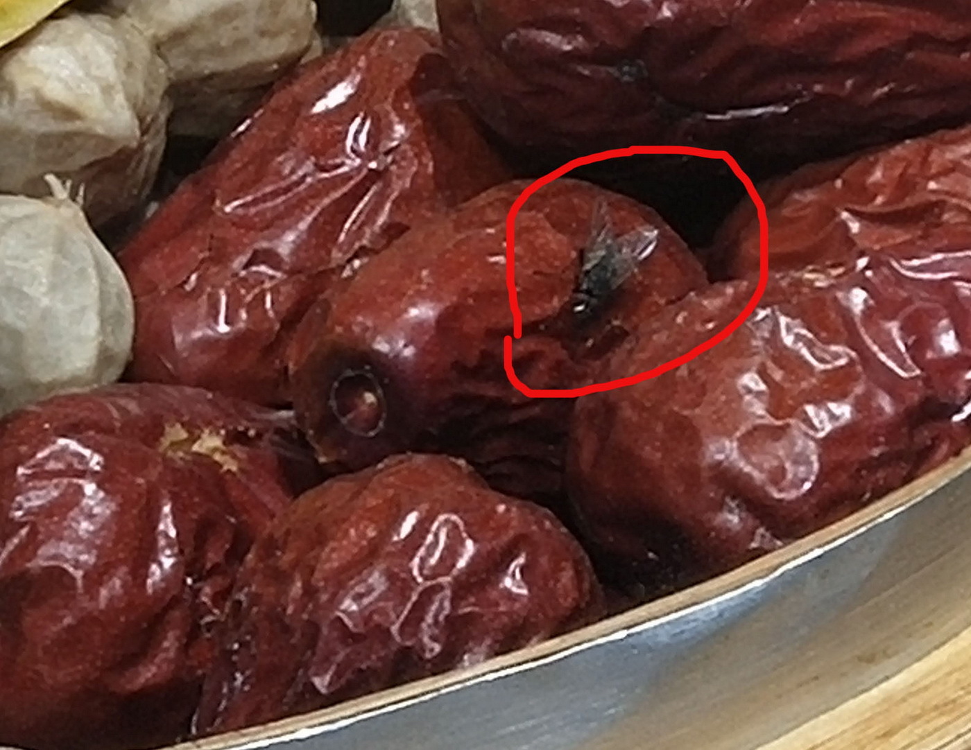 山东:滨城一饭店点菜区苍蝇乱爬 食客投诉无门求曝光