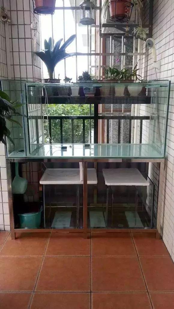 在阳台上砌一个鱼池可拉风了让外人一看就觉得你是个土豪