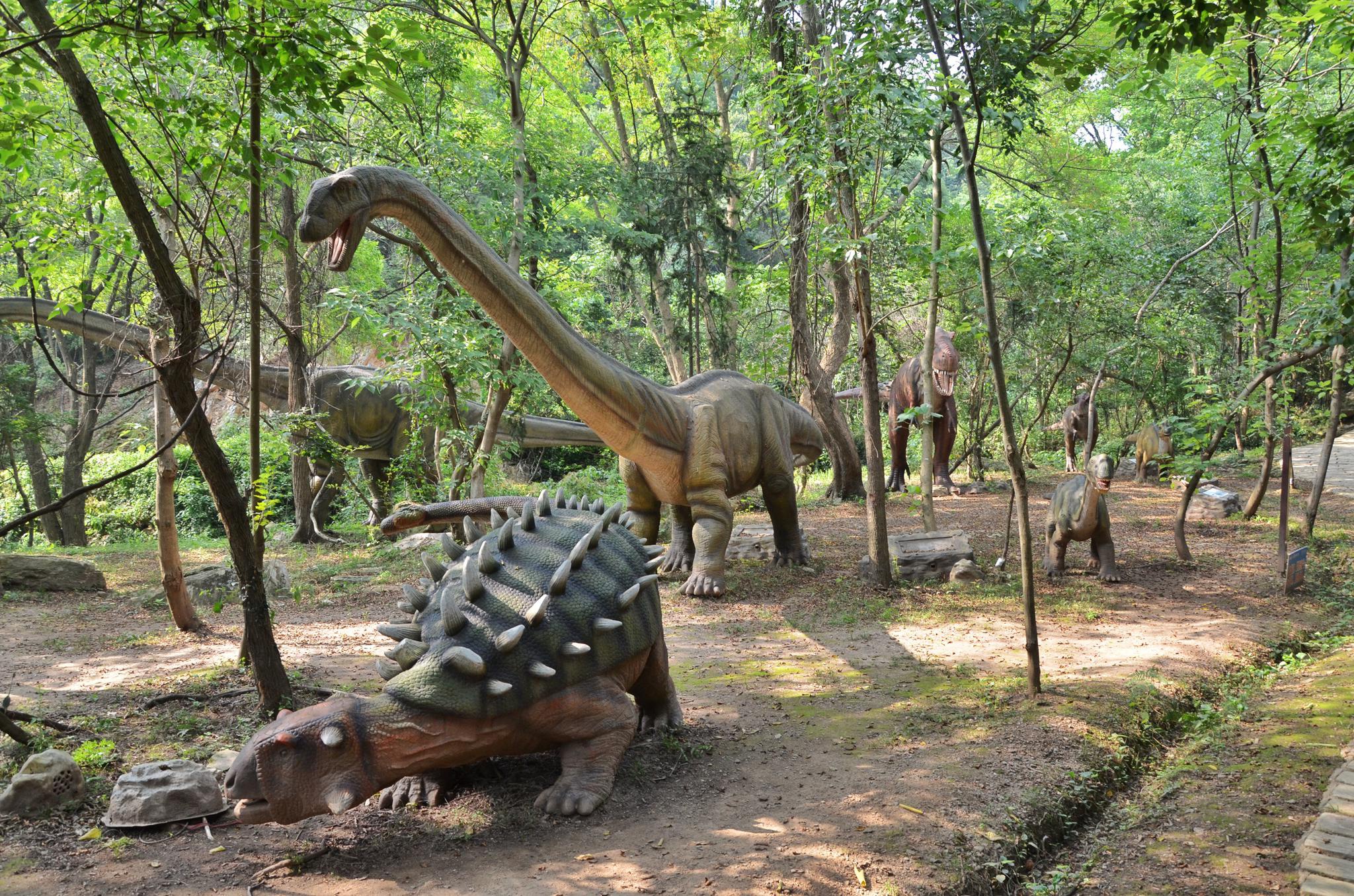 武汉有中国最大的恐龙基地,是国家5a景区,仿佛回到了侏罗纪